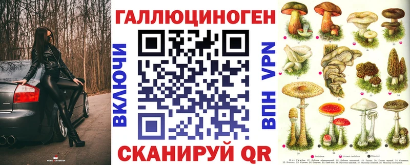 купить   Гаврилов-Ям  Псилоцибиновые грибы мицелий 